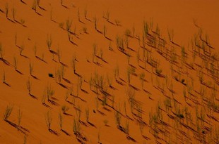 401 Namibia Okt 2006 .JPG